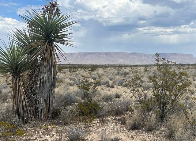 Property at 14570 Alpha, Terlingua, TX 79852