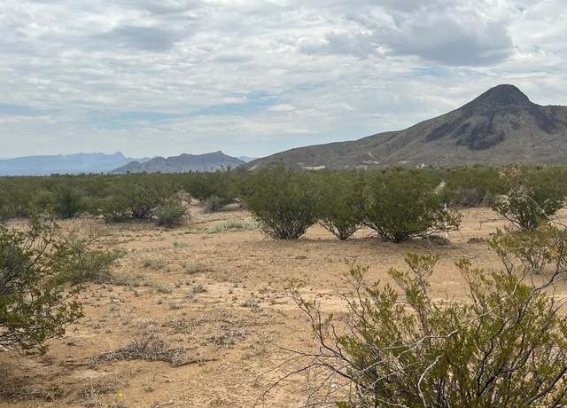 Property at 14833 Carico, Terlingua, TX 79852