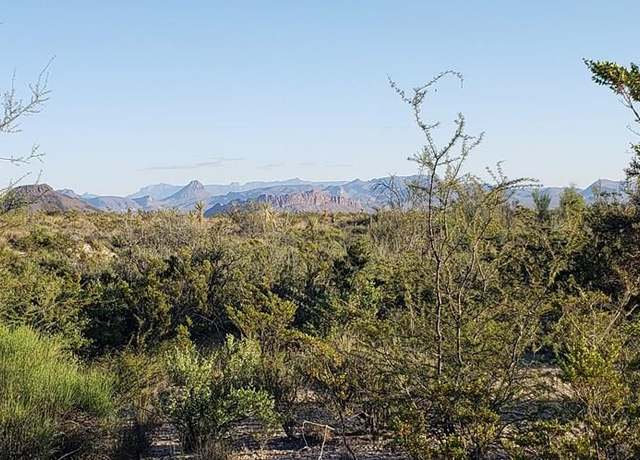 Property at 220 Warnock Rd, Terlingua, TX 79852