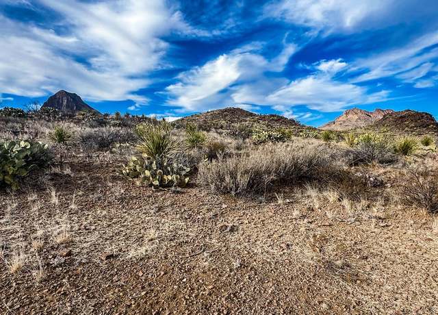 Property at TR 890C Lake Ament Rd, Terlingua, TX 79852
