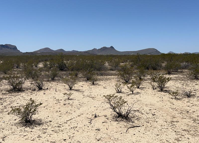 Property at 4500 Diamond Back Rd, Terlingua, TX 79852