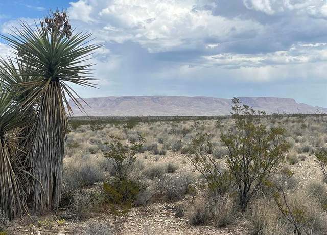 Property at 130 N Blue Dawg Rd, Terlingua, TX 79852
