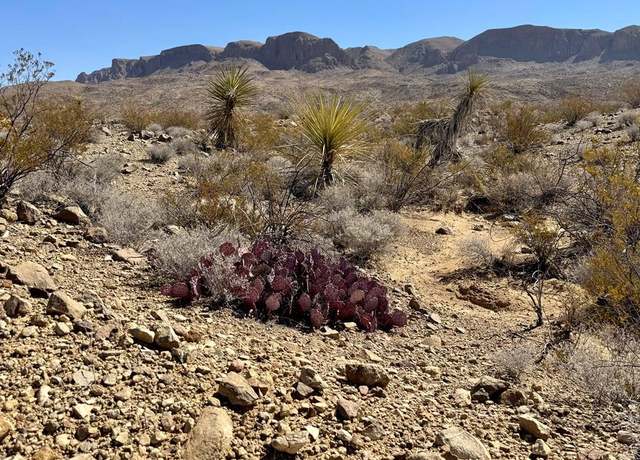 Property at TR 5269 Missle Dr, Terlingua, TX 79852