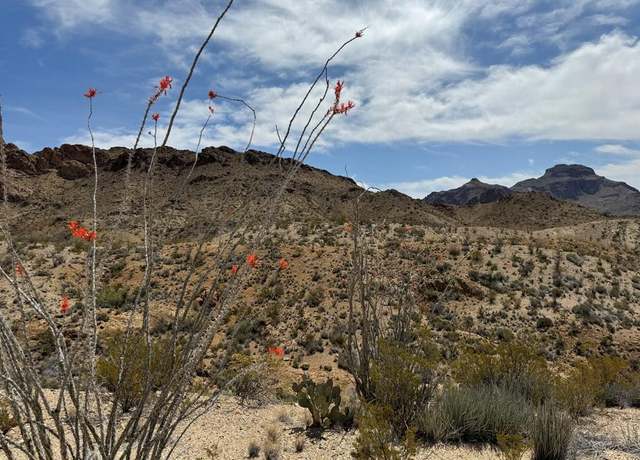 Property at TR 42 Gate 2 Rd, Terlingua, TX 79852