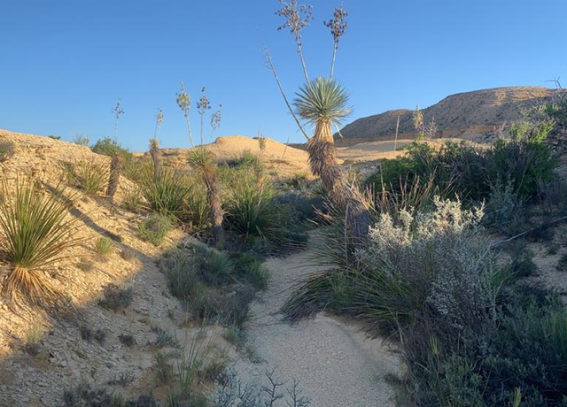 Property at 1701 La Luna Rd, Terlingua, TX 79852