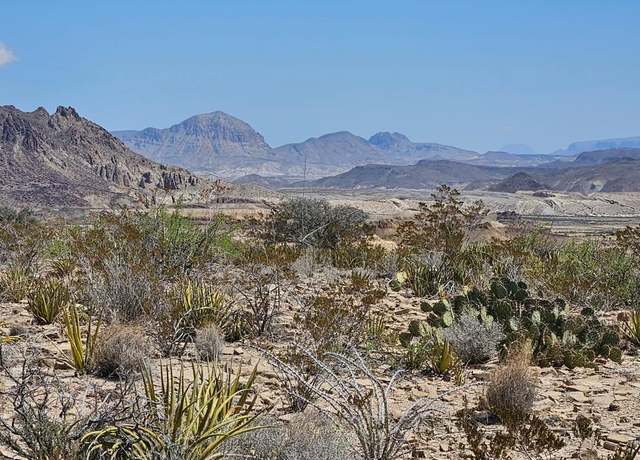 Property at 450 Saw Mill Rd, Terlingua, TX 79852