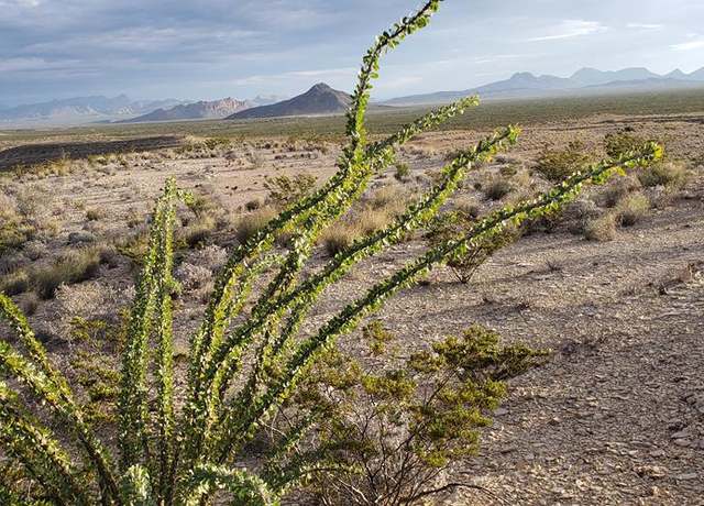 Property at 4809 Pegasus Rd, Terlingua, TX 79852