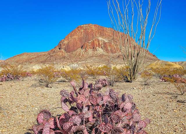 Property at 53396 State Hwy 118 S, Terlingua, TX 79852