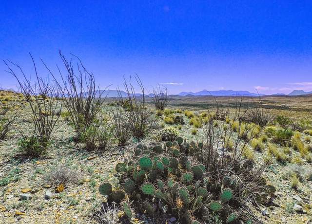 Property at 21274 Feldspar St, Terlingua, TX 79852