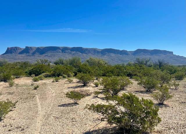 Property at TR 4464 Private Rd, Terlingua, TX 79852