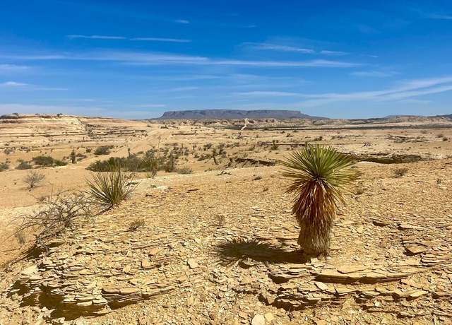 Property at TR:F297 Taurus Mesa Rd, Terlingua, TX 79852