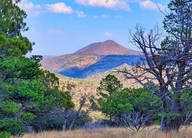 Property at 114 Low Meadow Trl, Fort Davis, TX 79734