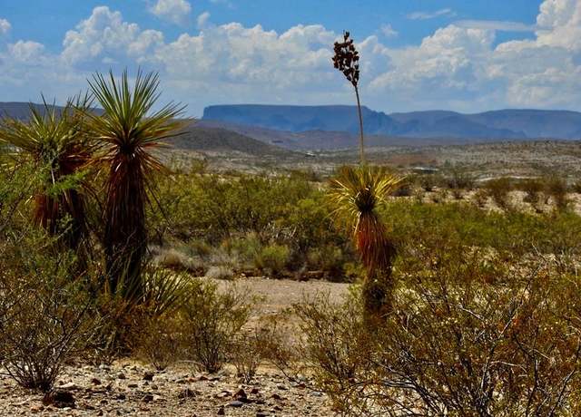 Property at 3615 Marathon, Terlingua, TX 79852