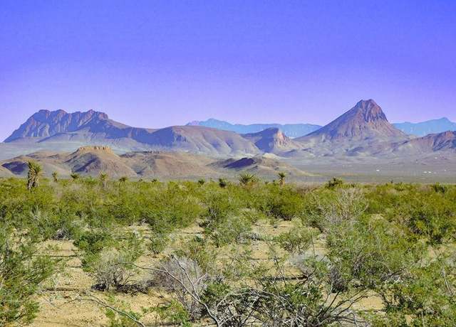 Property at 15413 Amarillo St, Terlingua, TX 79852