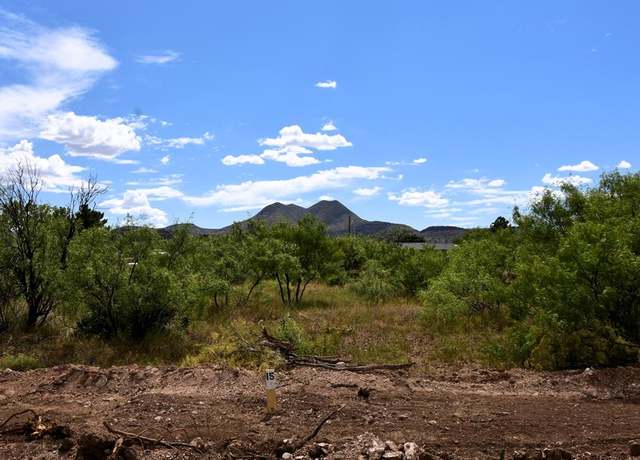 Property at 411 Sagebrush Rd, Alpine, TX 79830