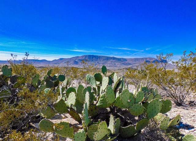 Property at 6695 Feldspar St, Terlingua, TX 79852