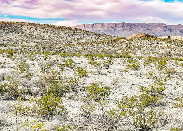 Property at 19800 Reimers Rd, Terlingua, TX 79852