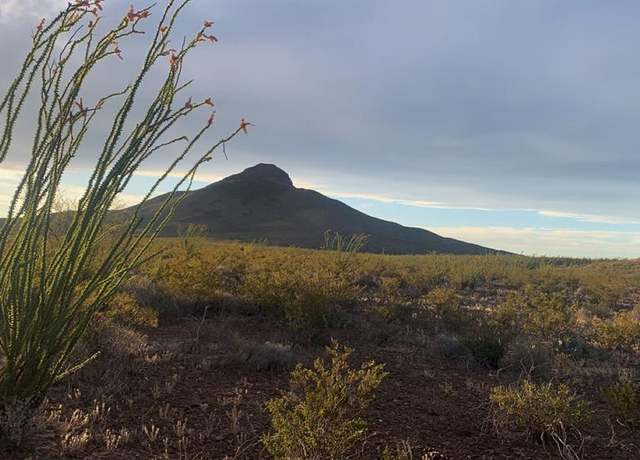 Property at 66 Cats Eye Rd, Terlingua, TX 79852