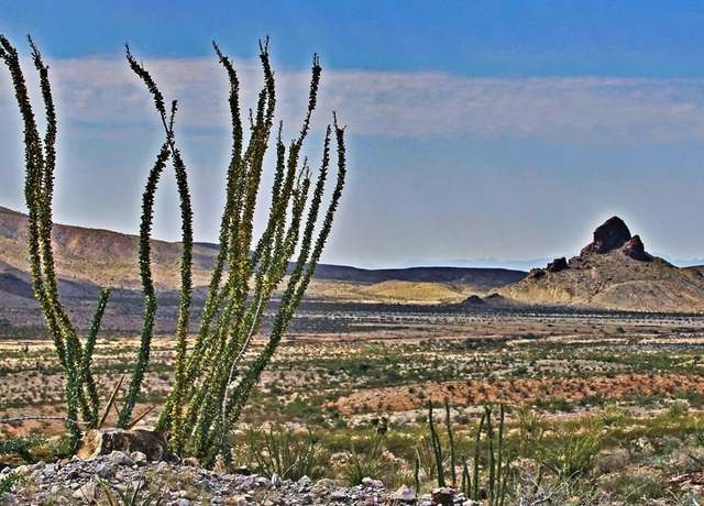 Property at tbd-3 Fm 2017, Van Horn, TX 79854