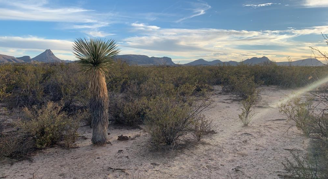 Photo of 96 Redford, Terlingua, TX 79852
