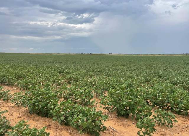Property at CR 151 County Rd 151, Colorado City, TX 79512