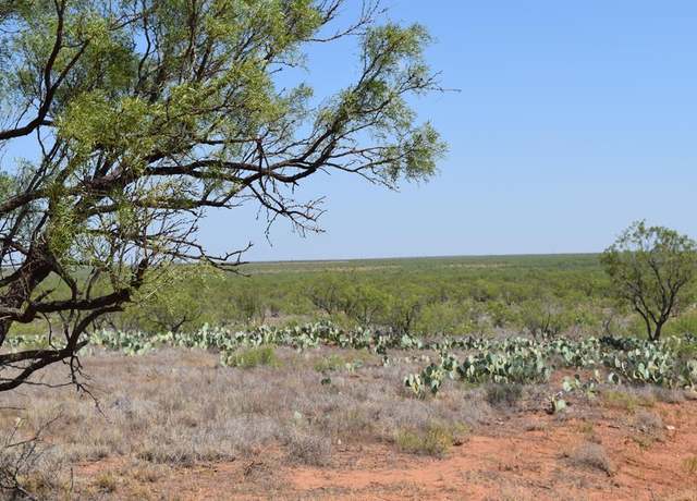 Property at 0 County Rd 243, Westbrook, TX 79565
