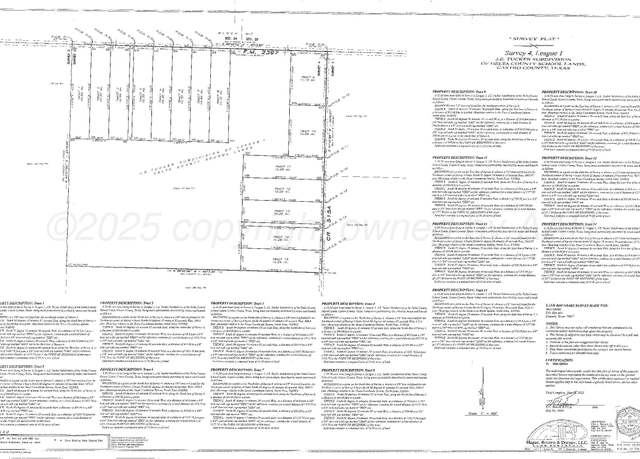 Property at FM 2397, Dimmitt, TX 79027