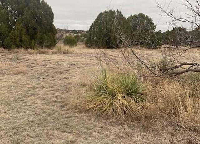 Property at 305 Lake Ridge Rd, Canyon, TX 79015