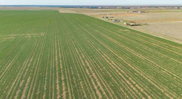 Photo of Friemel 872.73 Acres Pullman Rd, Claude, TX 79019