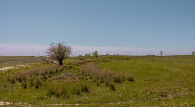 Photo of Terry Pl, Shamrock, TX 79079