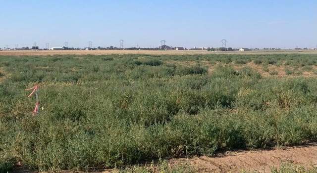 Photo of BT26 Voorhees Rd, Bushland, TX 79124