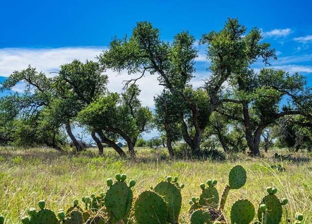 Property at Lot 4 Old Harper Rd, Fredericksburg, TX 78624