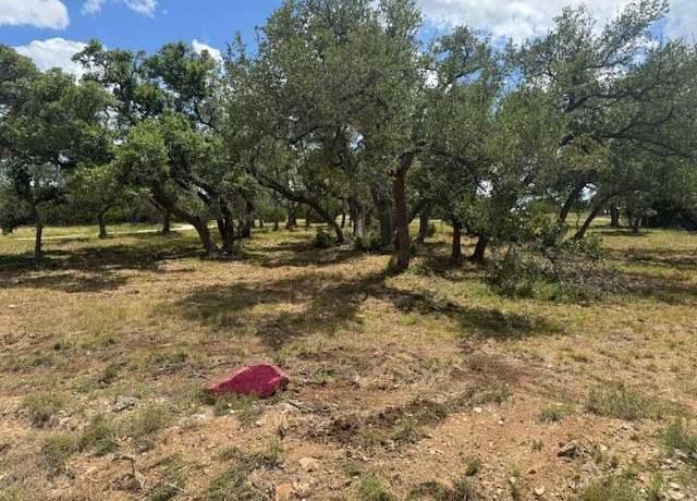 Property at 116 Riley Wood, Blanco, TX 78606