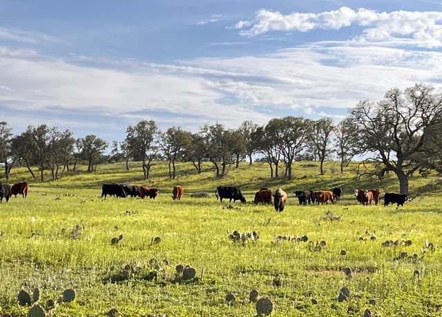 Property at 300 Private Road 626, Voca, TX 76887