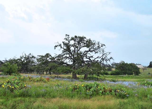 Property at 1101 Dreamcatcher Ln, Harper, TX 78631