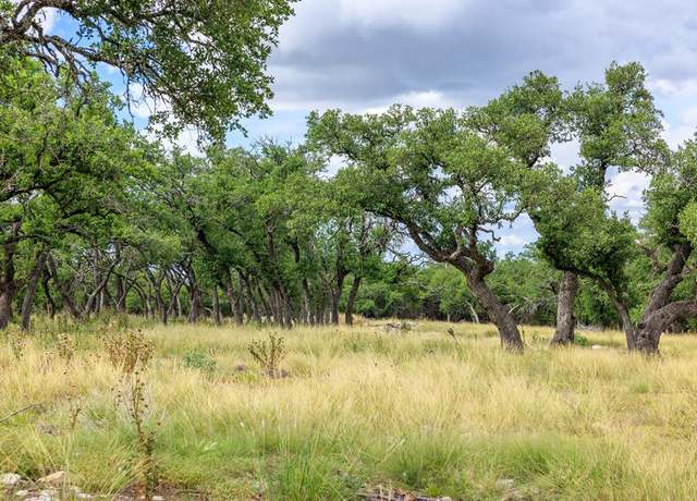 Property at 0 Friedrich Rd, Fredericksburg, TX 78624