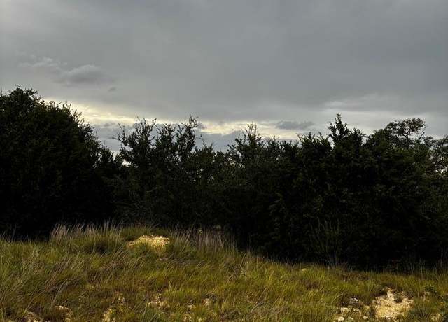 Property at 103 Lee St, Blanco, TX 78606