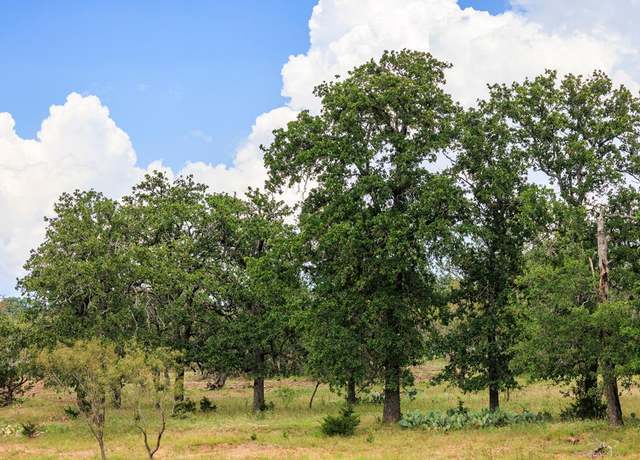 Property at 1050 Cain City Rd, Fredericksburg, TX 78624