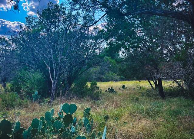 Property at 163 Angus Trl, Spring Branch, TX 78070