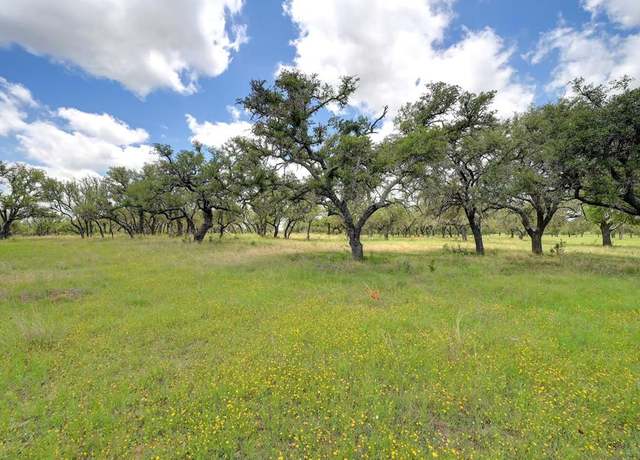 Property at 14 Silas Trl, Fredericksburg, TX 78624
