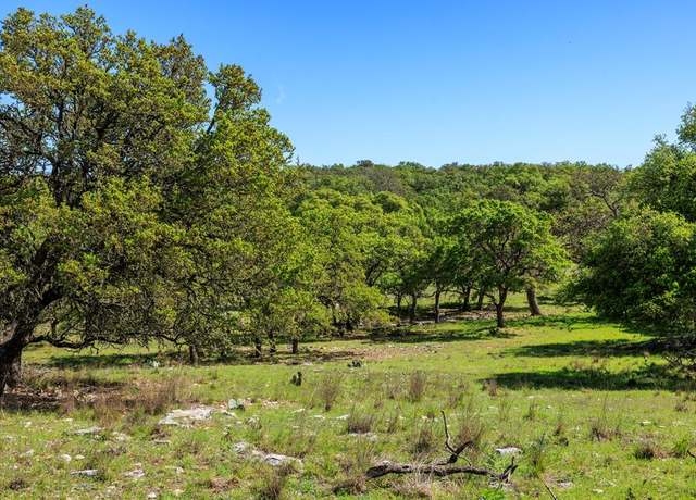 Property at 215 Dally Rd, Fredericksburg, TX 78624