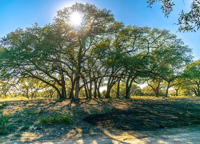 Property at 000 N US Hwy 281, Blanco, TX 78606
