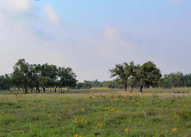 Property at 117 Apache Trce, Harper, TX 78631