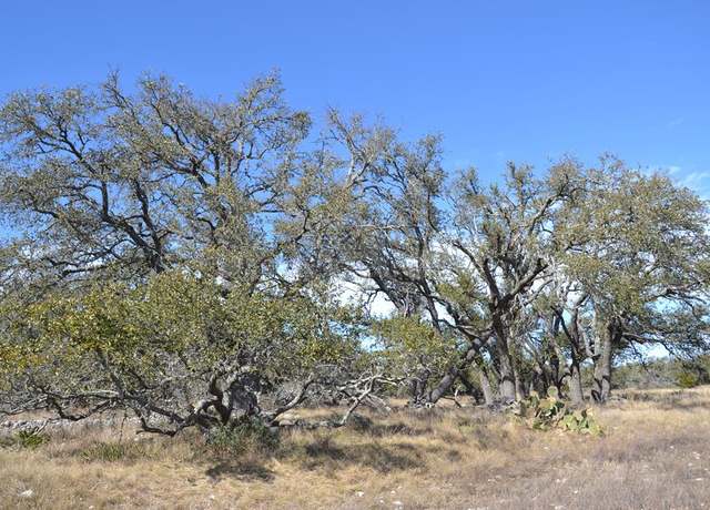 Property at 1152 Duderstadt Rd, Harper, TX 78631