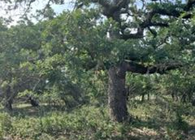 Property at Tract C Jerald Dr, Fredericksburg, TX 78624