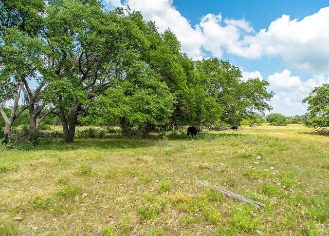 Property at Lot 2 Fm 2093, Harper, TX 78631