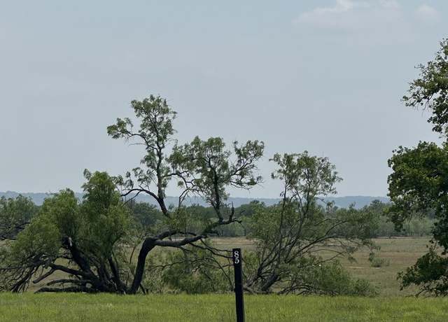 Property at 203 Interlaken St, Fredericksburg, TX 78624