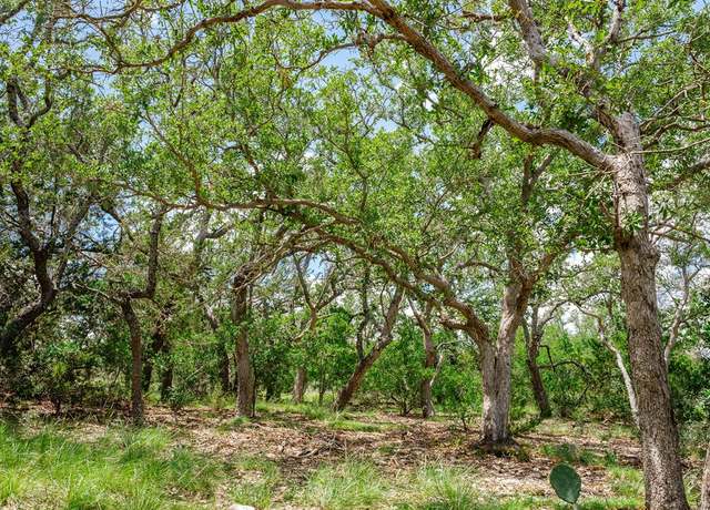 Property at 1632 Link, Doss, TX 78618