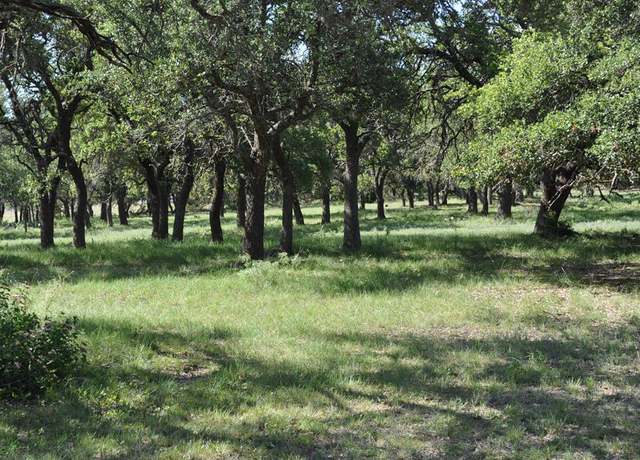 Property at 18043 Fm 479, Harper, TX 78631