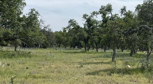Photo of 20 Scott Branch Rd, Harper, TX 78631